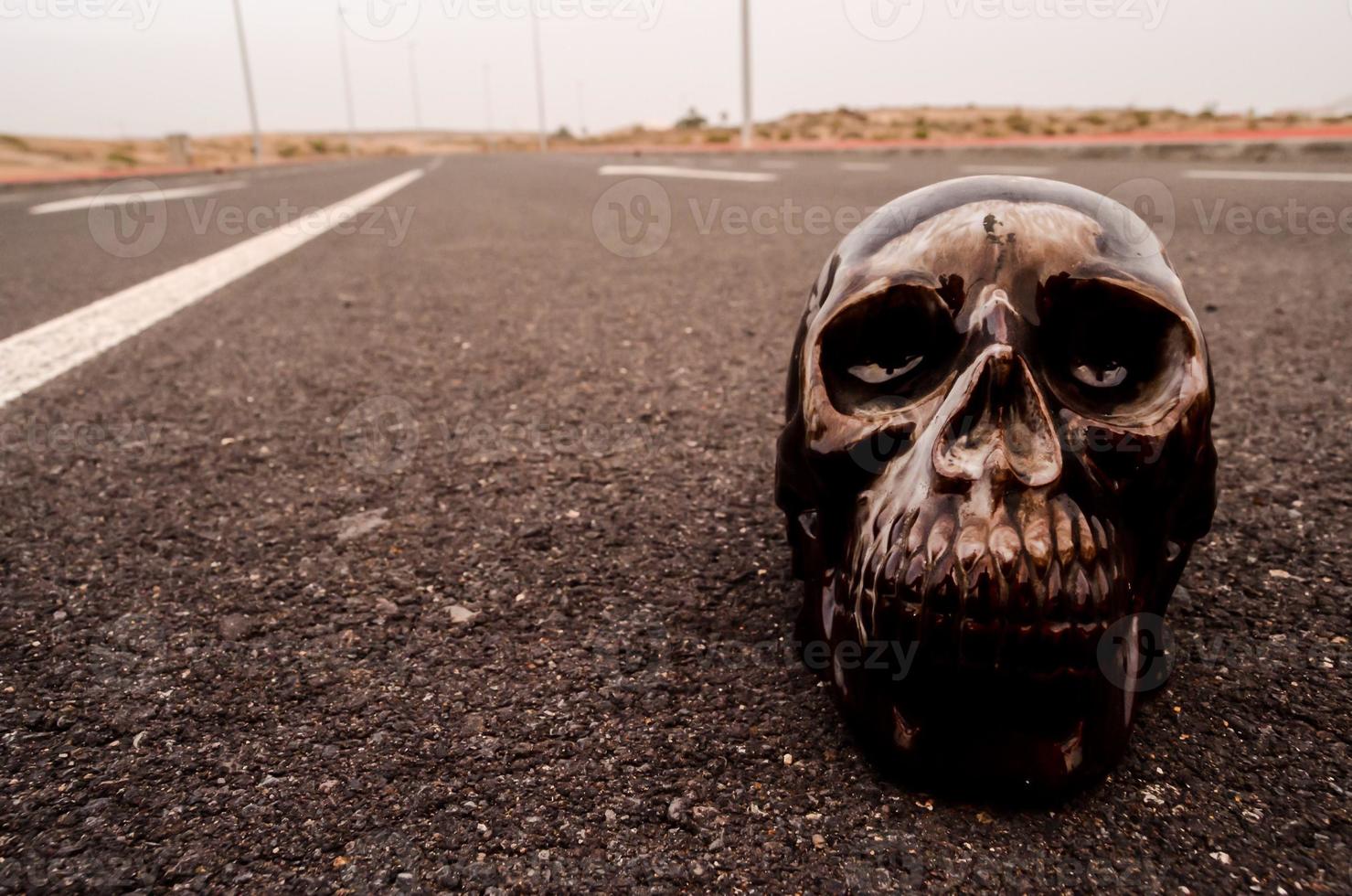 Small skull on the road photo