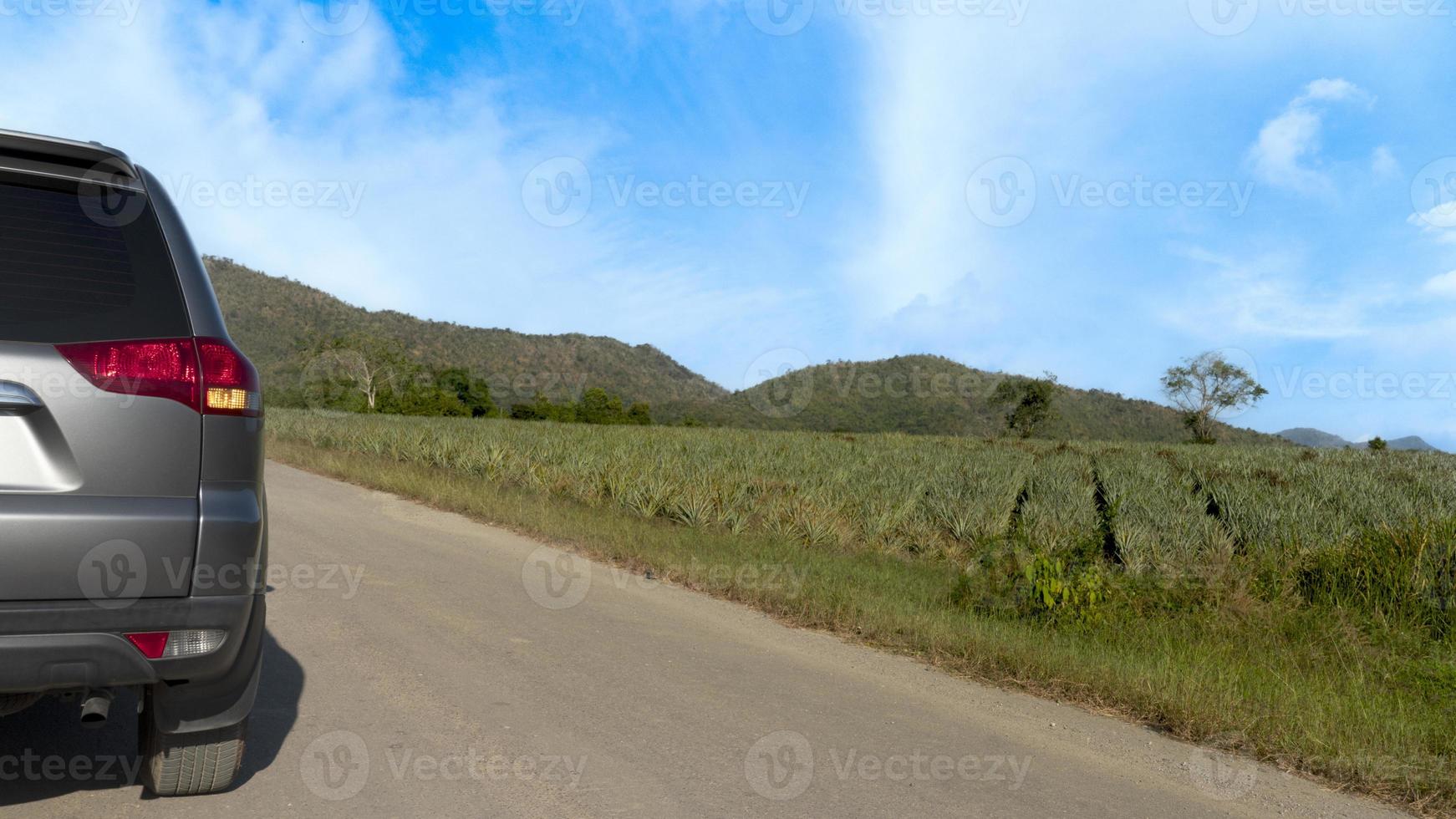 Rear side of gray car driving on asphalt road. Stop on the upcountry road with turn right signal at day. Beside road with blurred of pineapple plantation and distant mountains under blue sky. photo