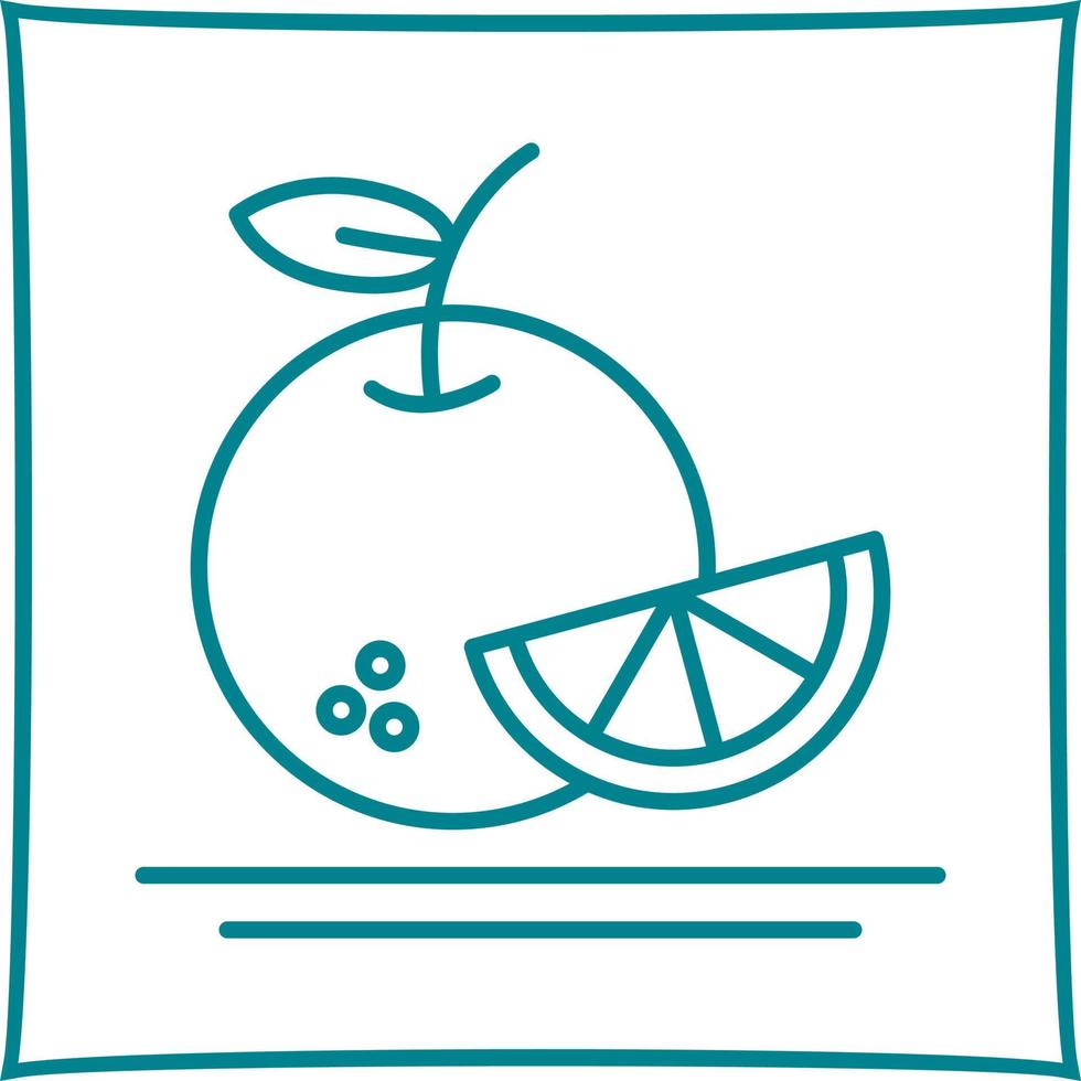 Orange Vector Icon
