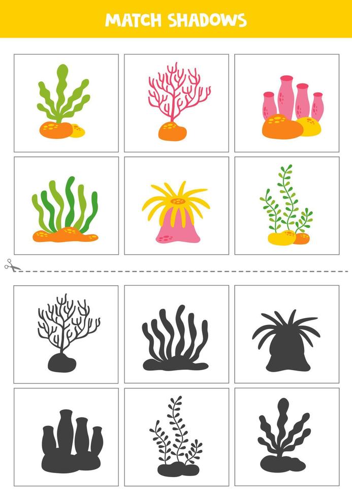 Find shadows of cute sea weed and actinia. Cards for kids. vector