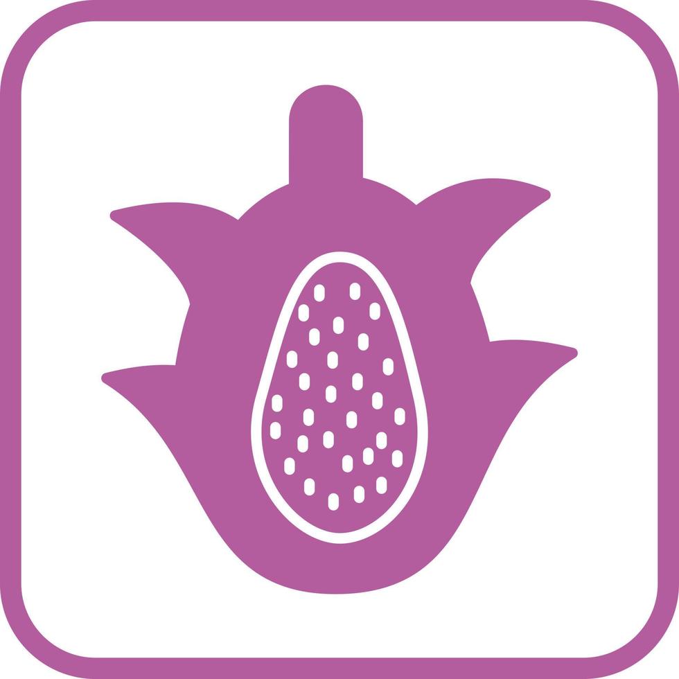 Dragon Fruit Vector Icon