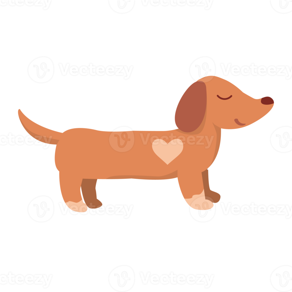 Cute dachshund dog design png