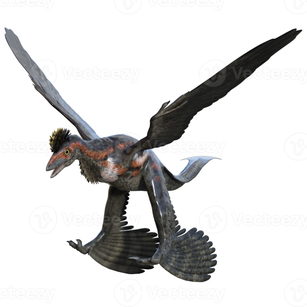 Microraptor dinosaur isolated on transparent png