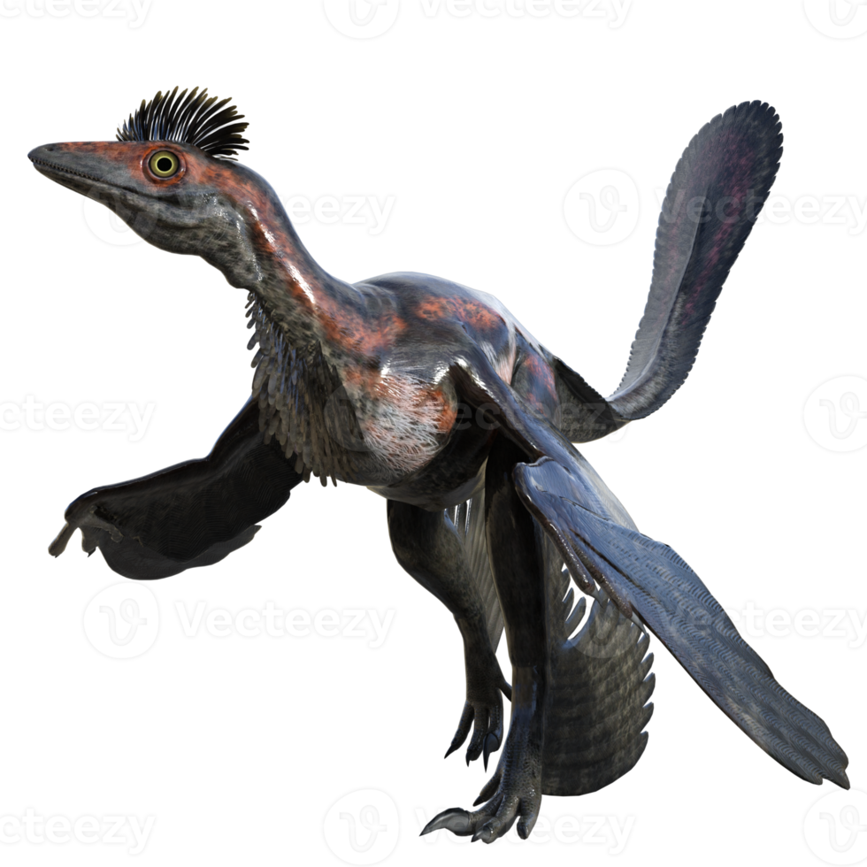 microraptor dinosaurio aislado en transparente png
