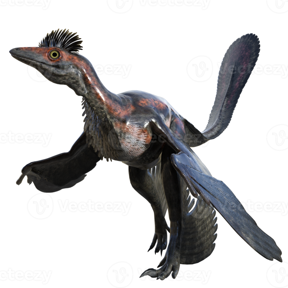 Microraptor dinosaur isolated on transparent png