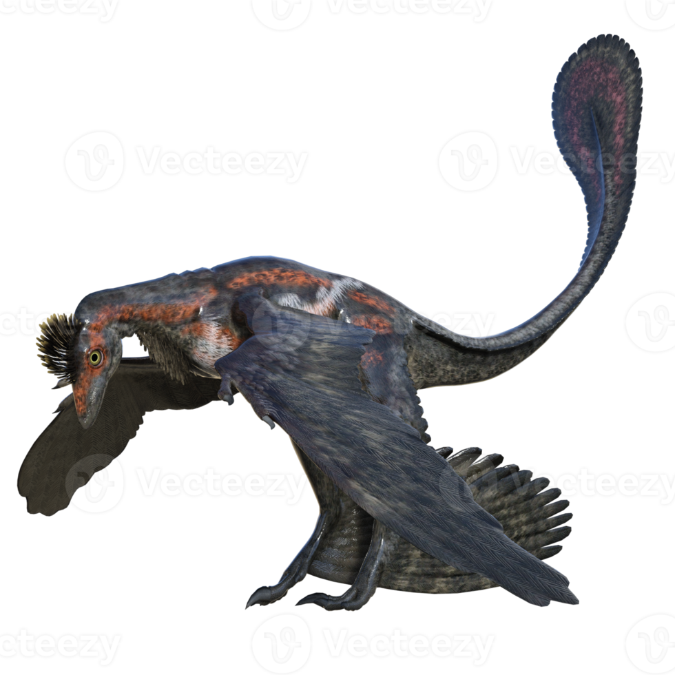 Microraptor dinosaur isolated on transparent png