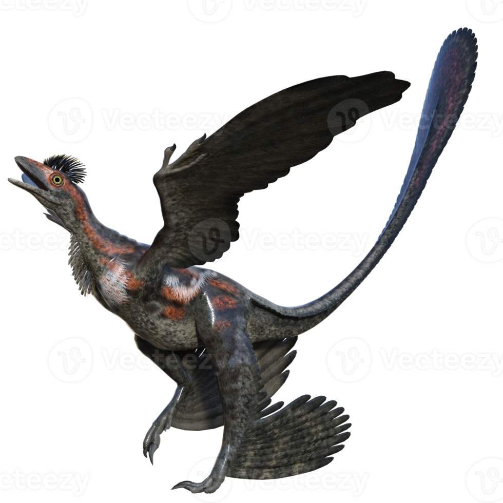 Microraptor dinosaur isolated on transparent png