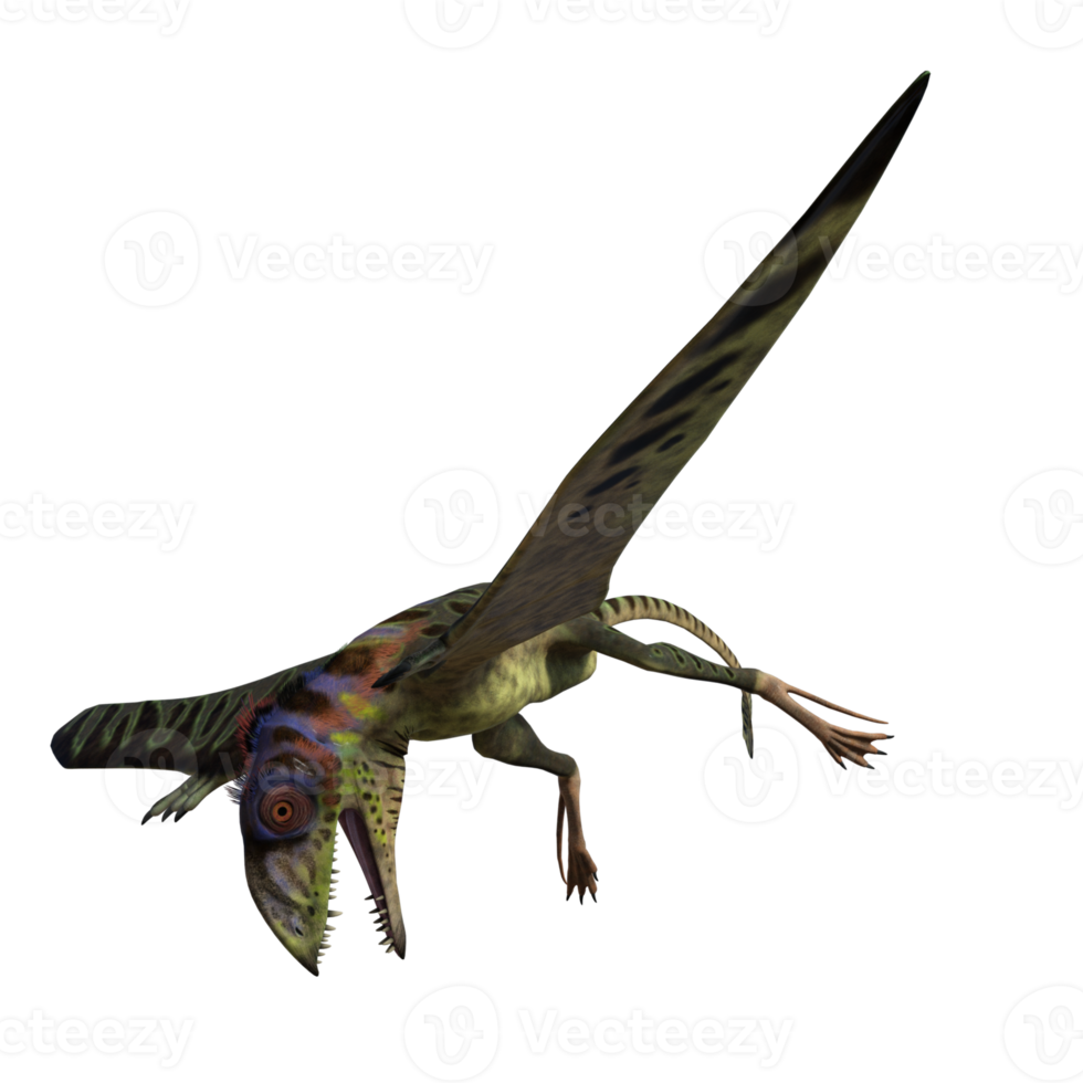 peteinosaurus dinossauro isolado em transparente png