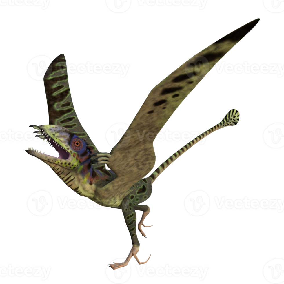 Peteinosaurus dinosaur isolated on transparent png