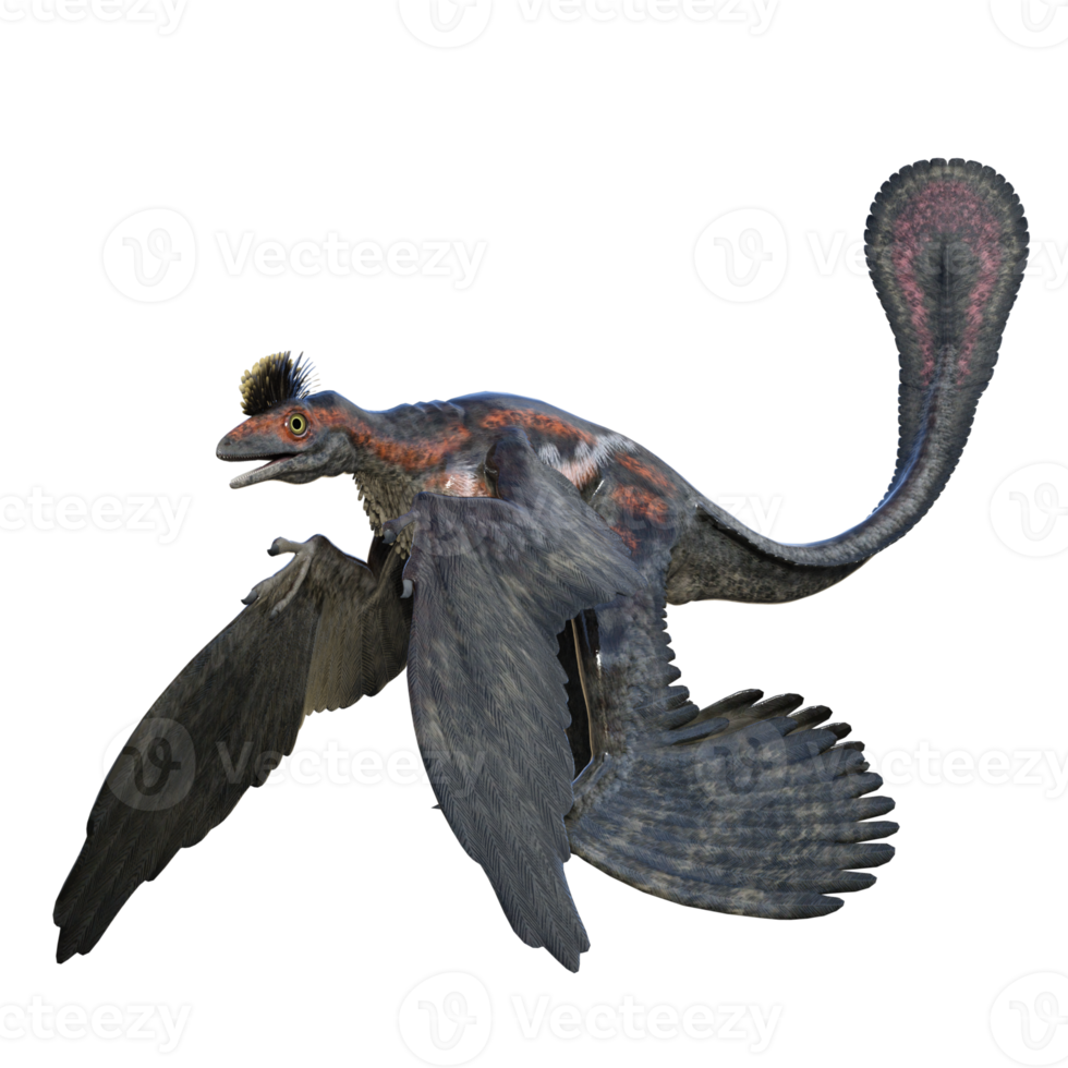 Microraptor dinosaur isolated on transparent png
