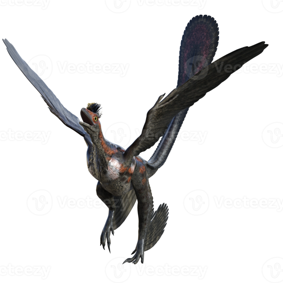 Microraptor dinosaur isolated on transparent png