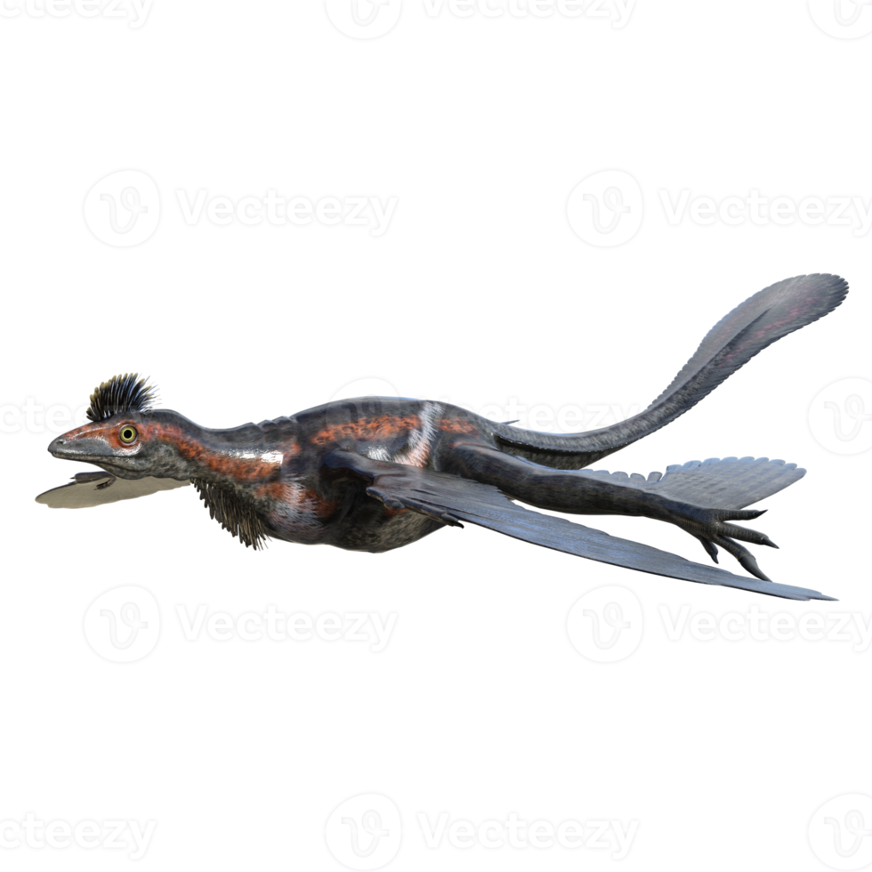 Microraptor dinosaur isolated on transparent png