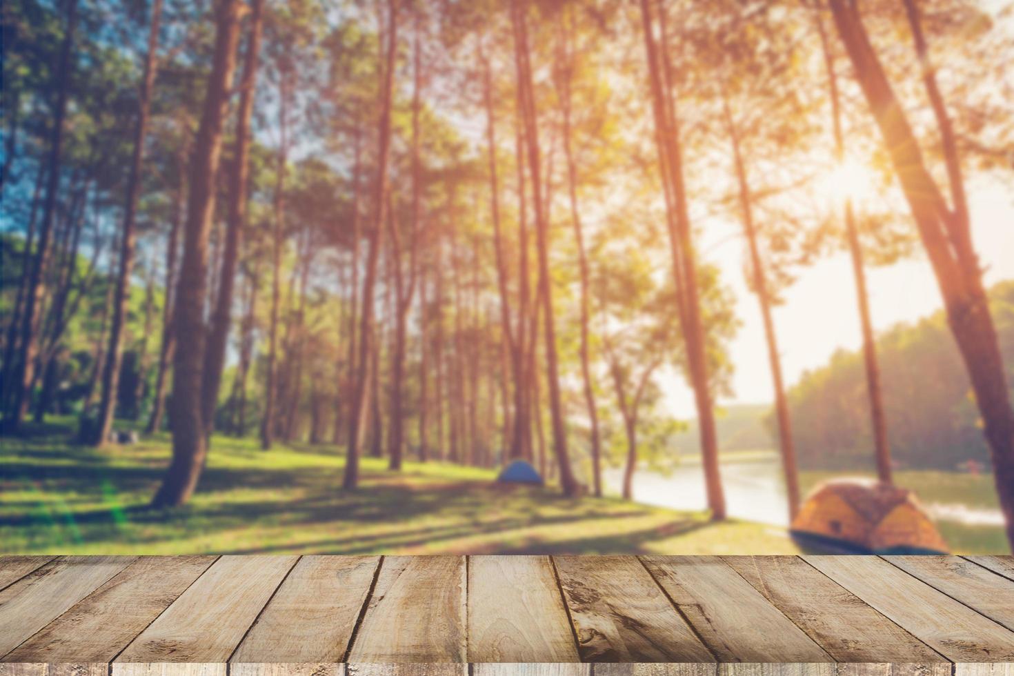 Abstract blurred pine tree and wood table with sunlight vintage photo