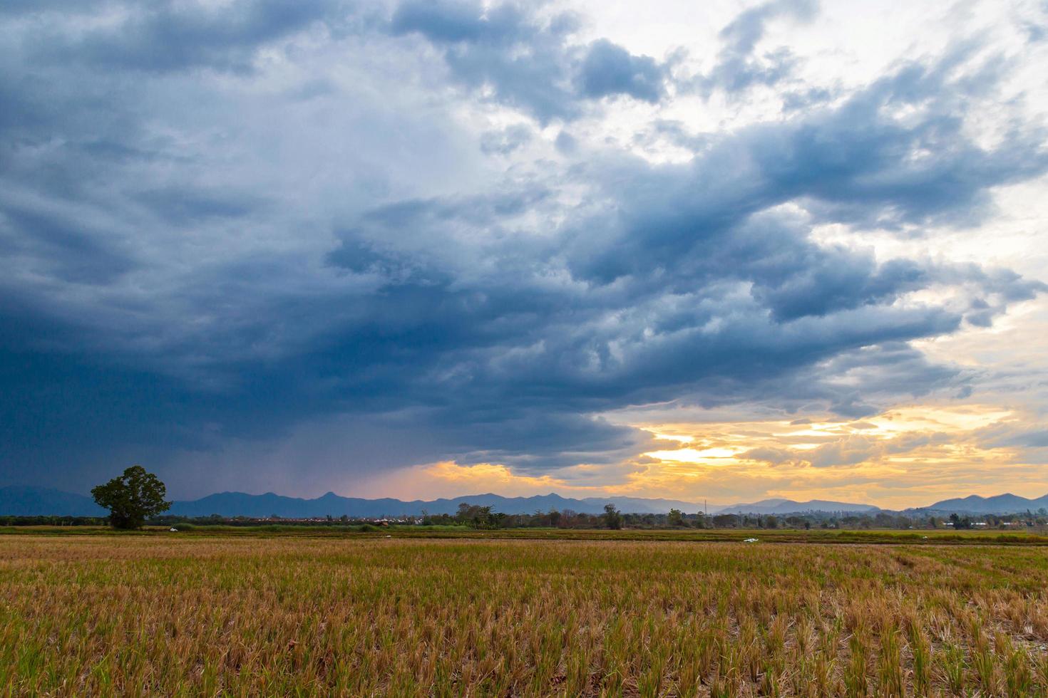 field and storm rainclouds photo