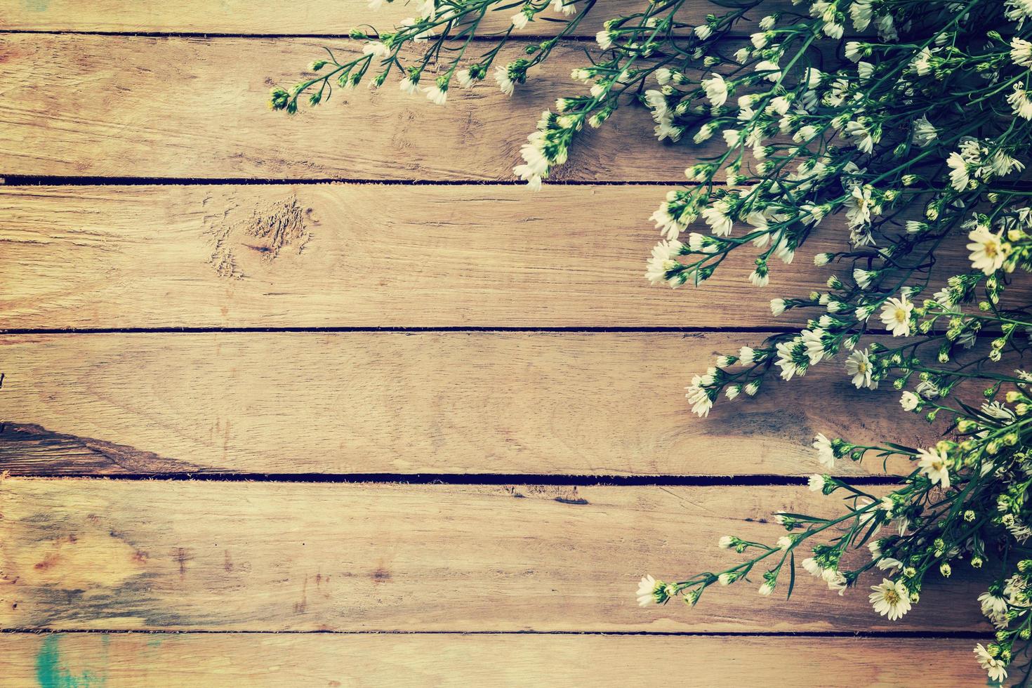 Flowers on wood texture background with copyspace. Vintage style. photo