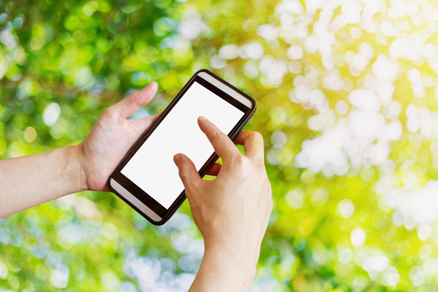 Hand woman using phone in garden with bokeh and sunlight., photo