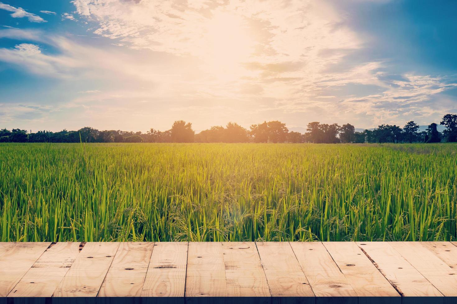 arroz campo y madera mesa antecedentes con espacio monitor para producto foto