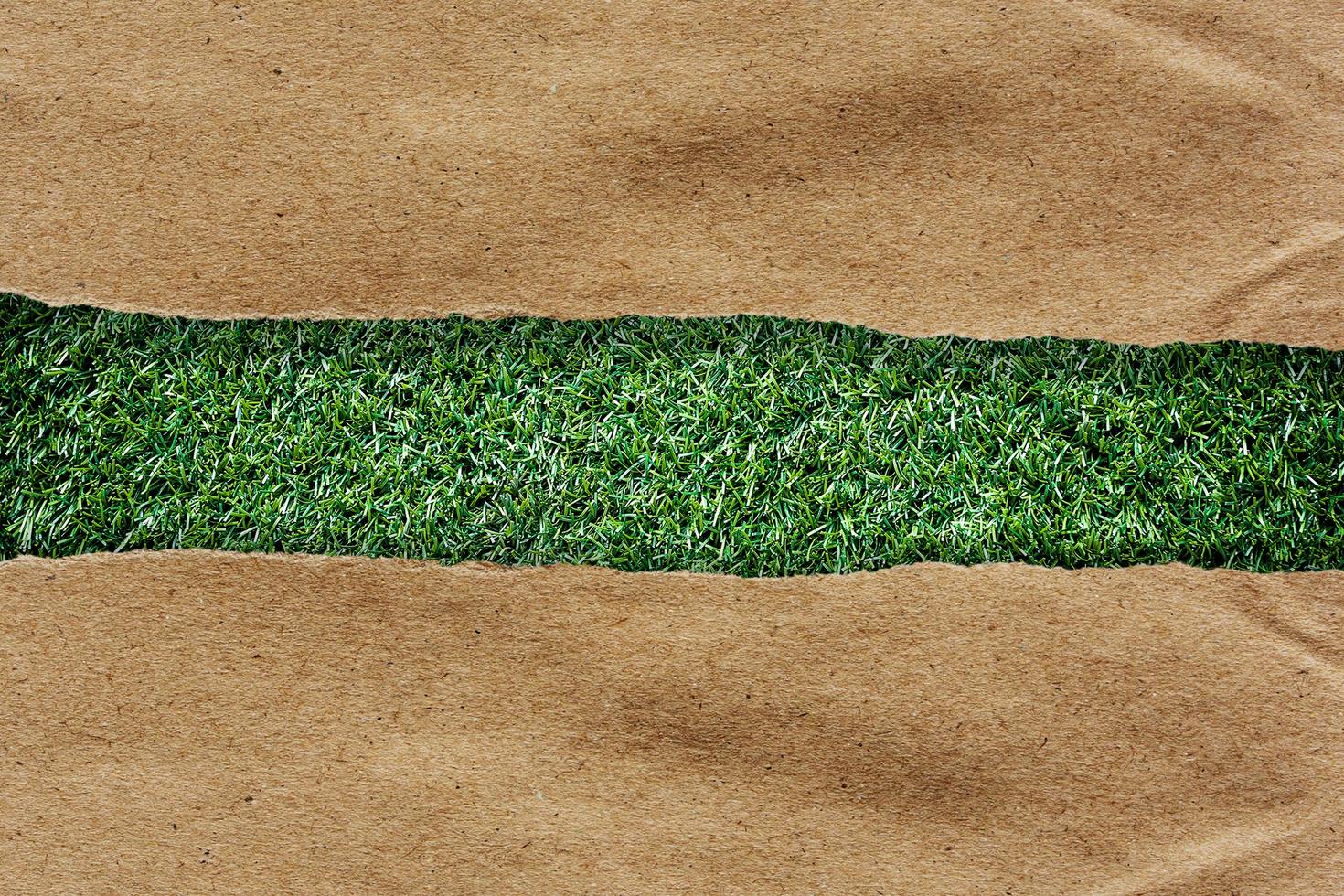 brown recycled paper ripped on grass with space for text photo