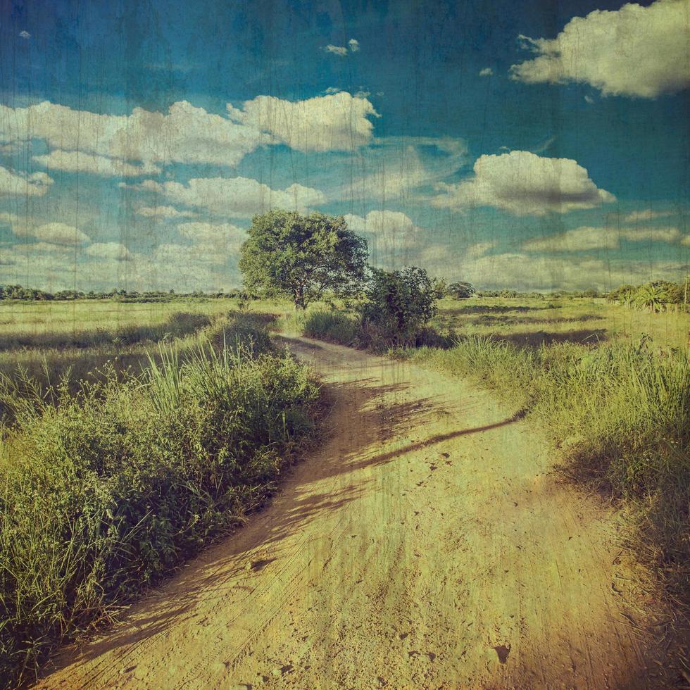country road and field vintage with texture effect. photo