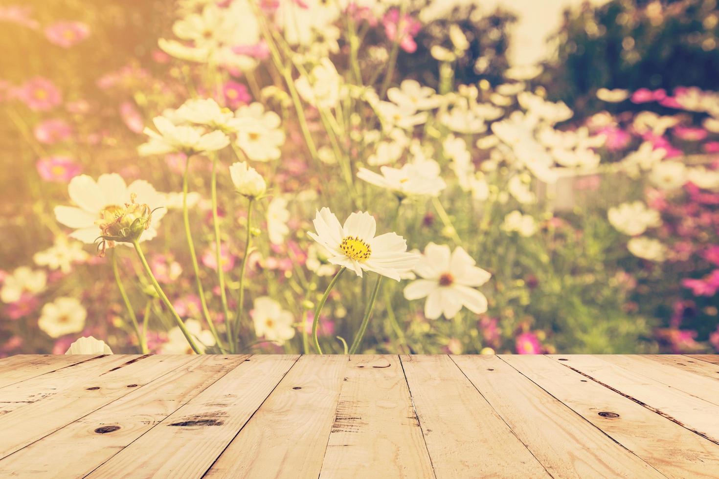 wood table and field cosmos with sunlight. vintage tone photo. photo