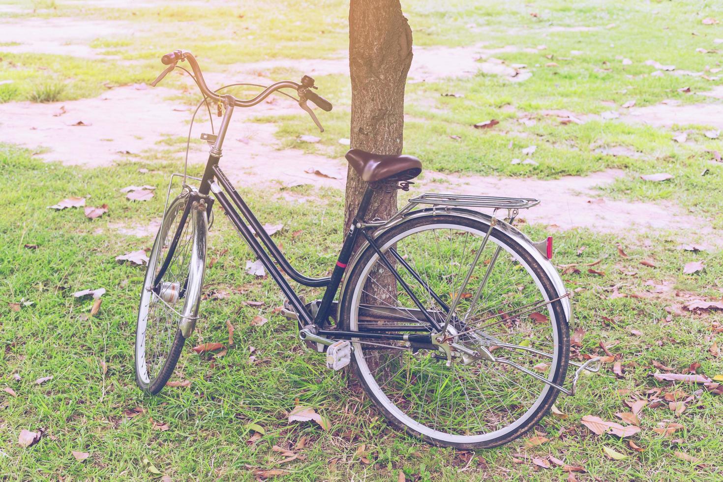 bicicleta Clásico en jardín con luz de sol foto