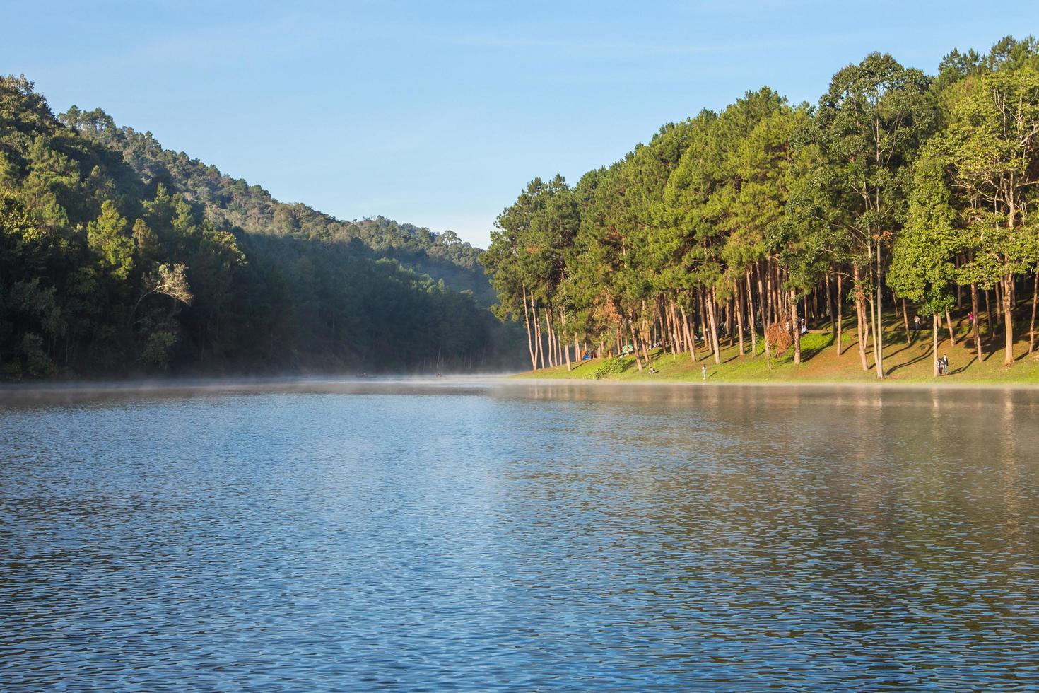 Pang Ung Forestry Plantations in winter ,Maehongson, North of Thailand photo