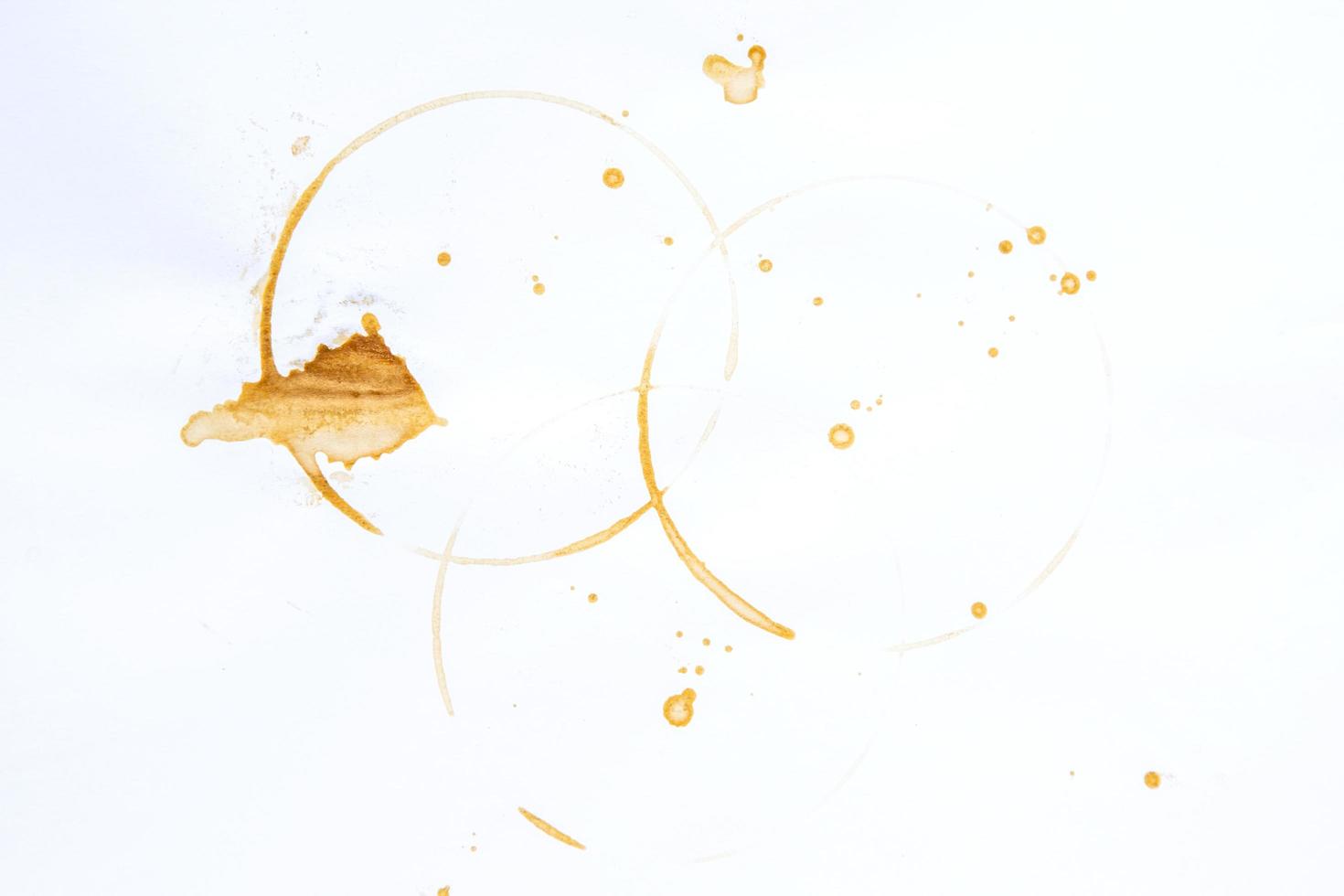 Coffee Stains and coffee cup stains on white background. photo
