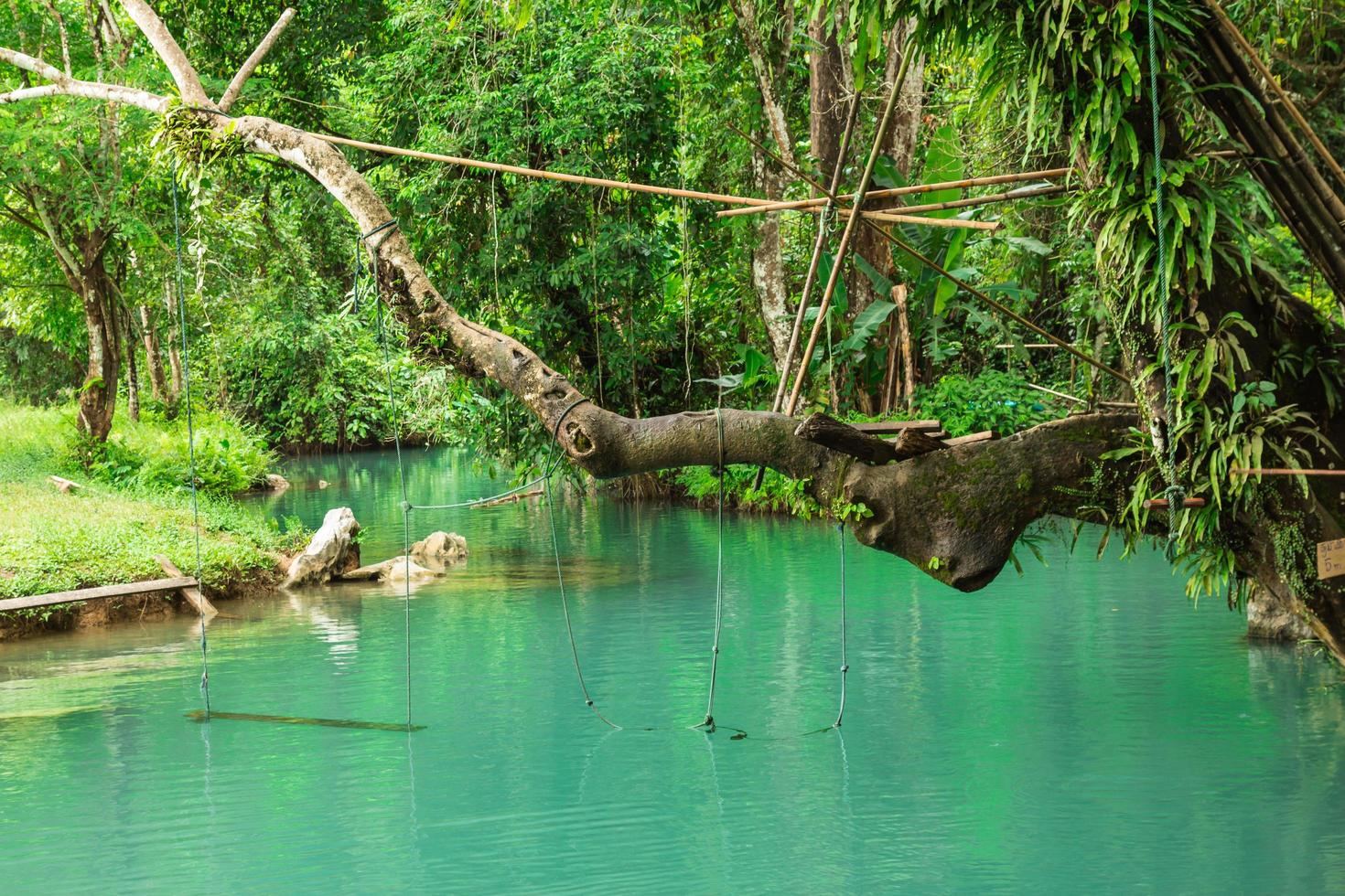 Blue lagoon, Vang vieng, Laos photo