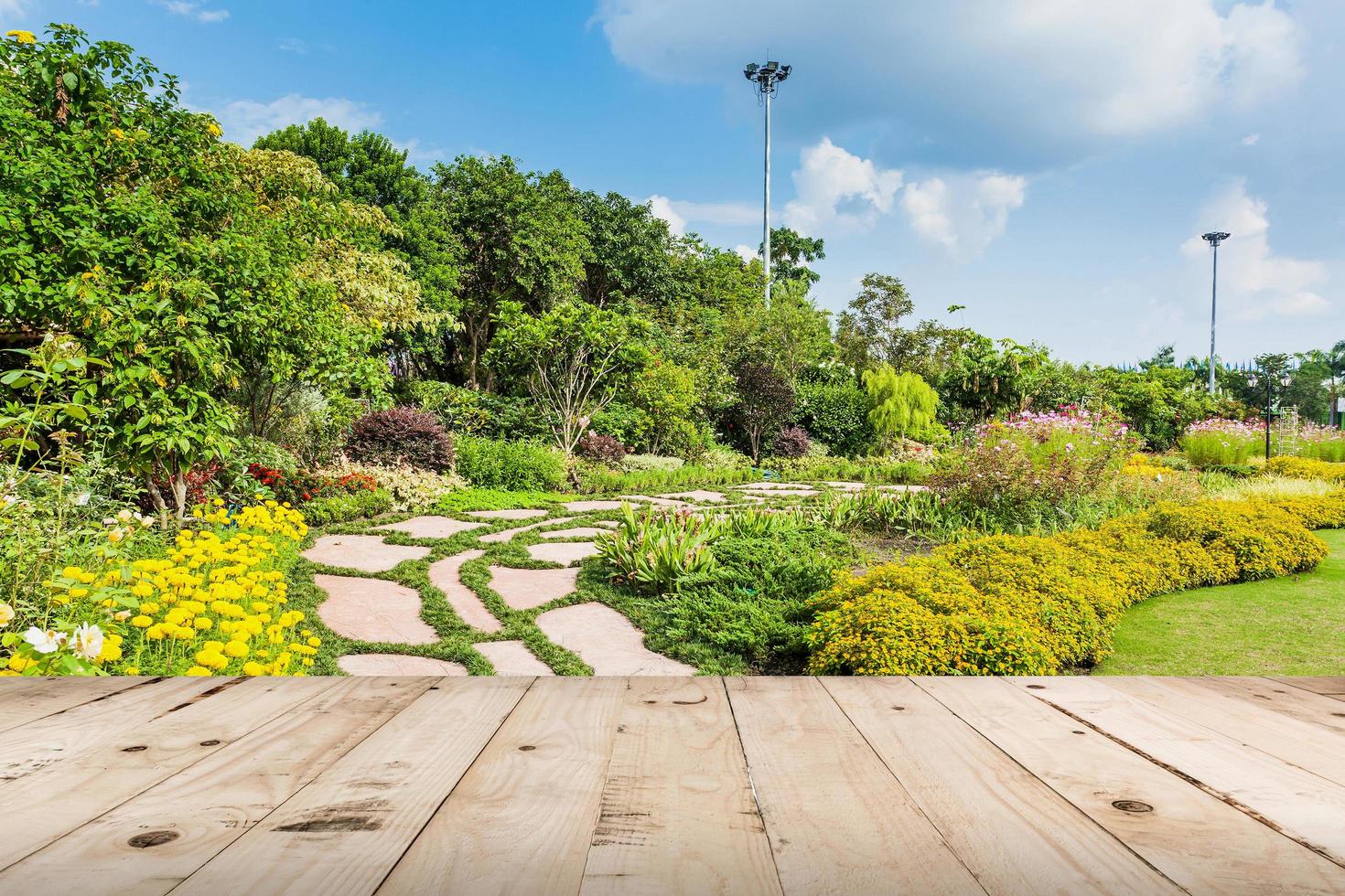 wood table and colour flower in garden photo