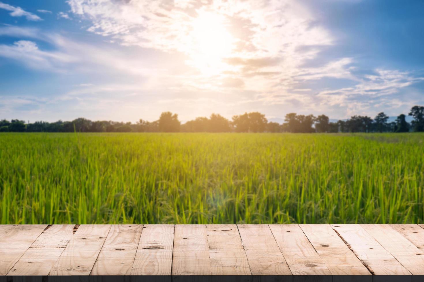 Wooden board table front and blurred background rice field sunlight for product display montages. photo
