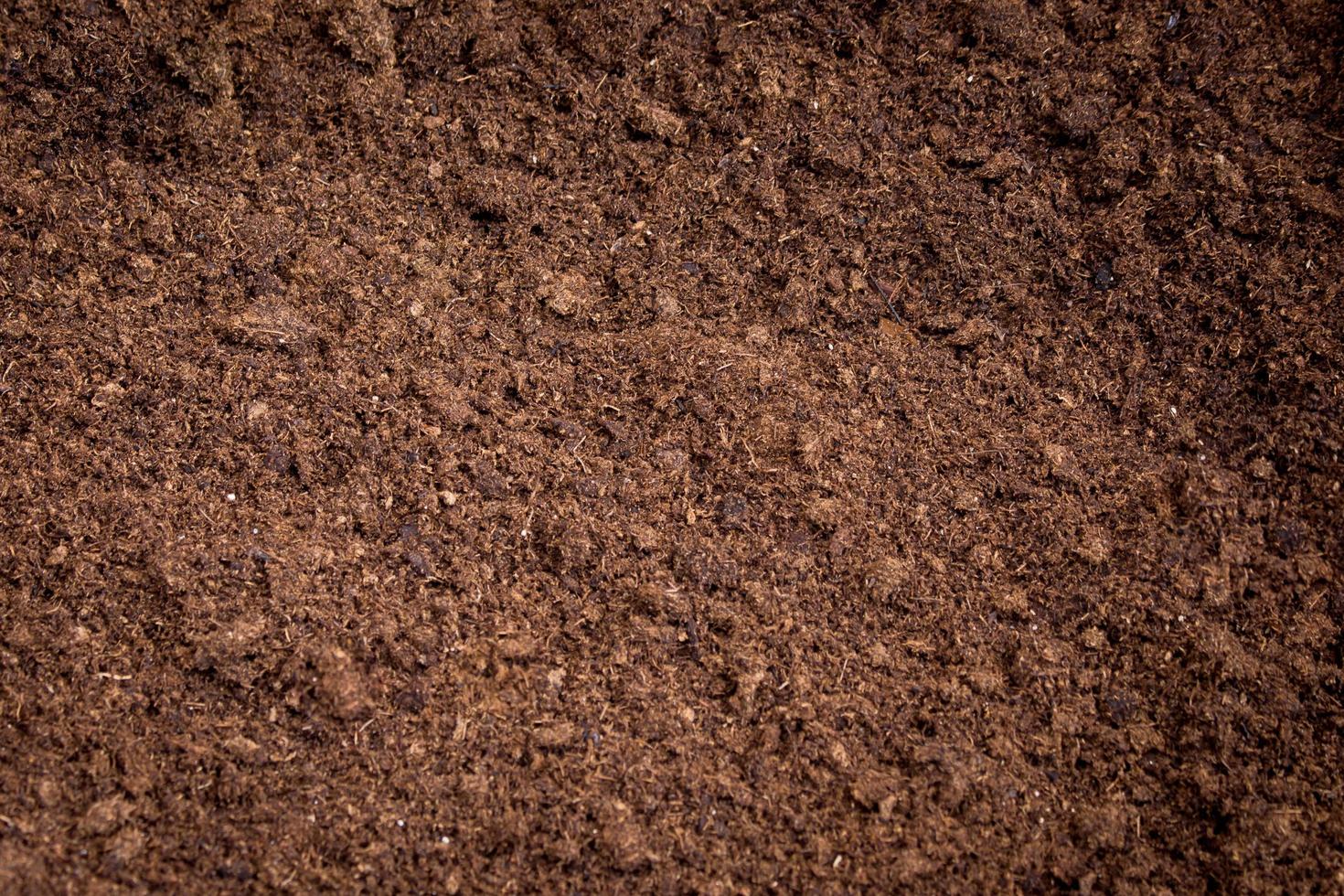 peat moss soil photo