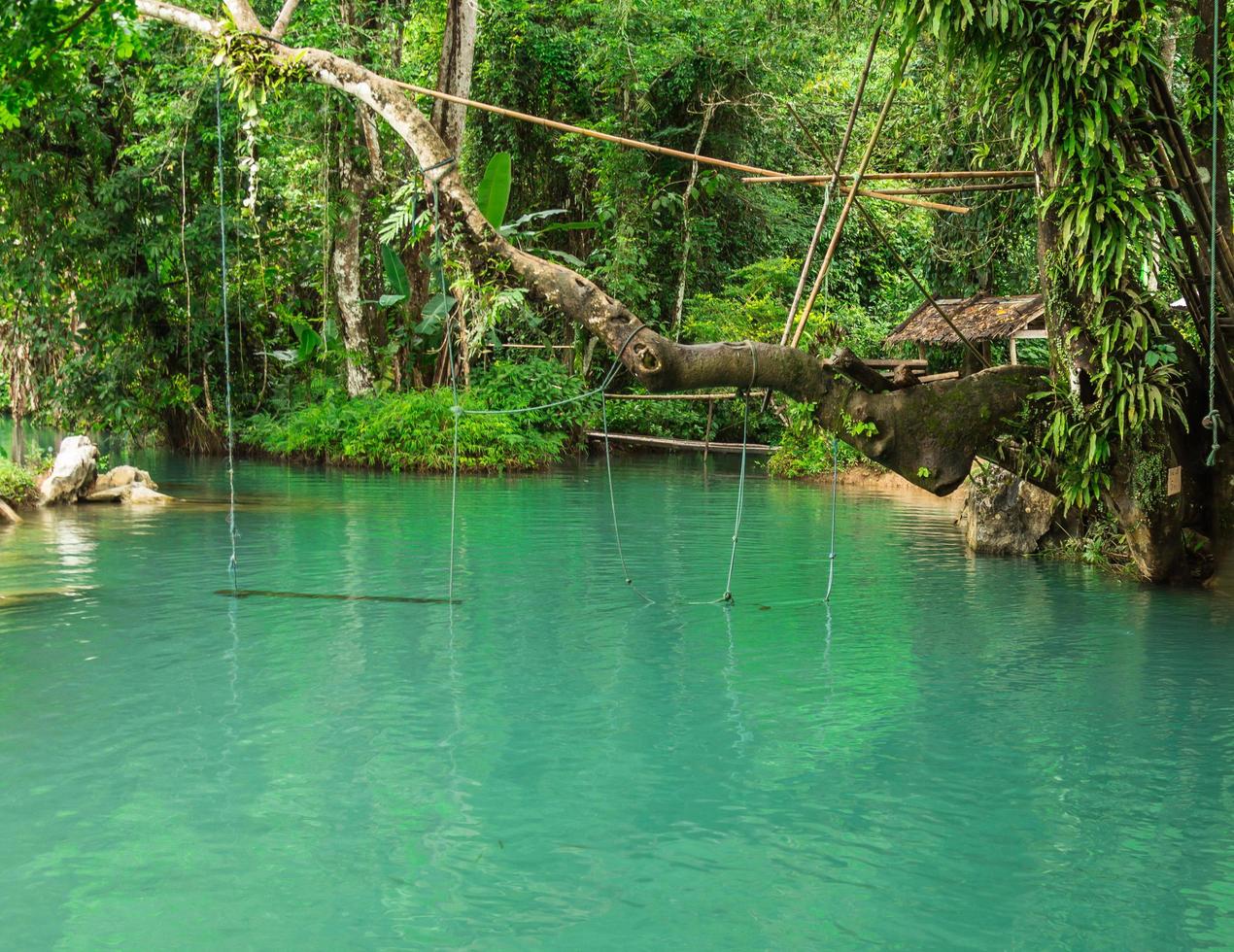 Blue lagoon, Vang vieng, Laos photo