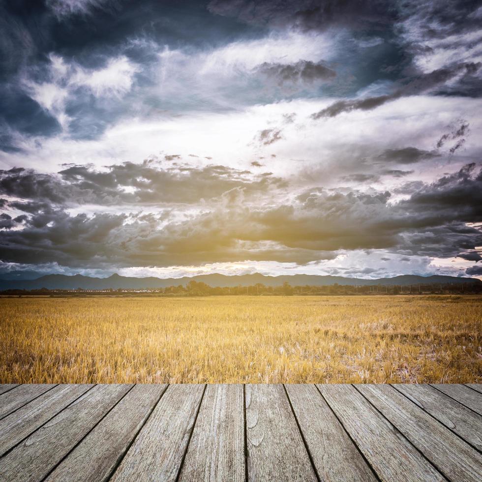 storm clouds and yellow field before rainy photo