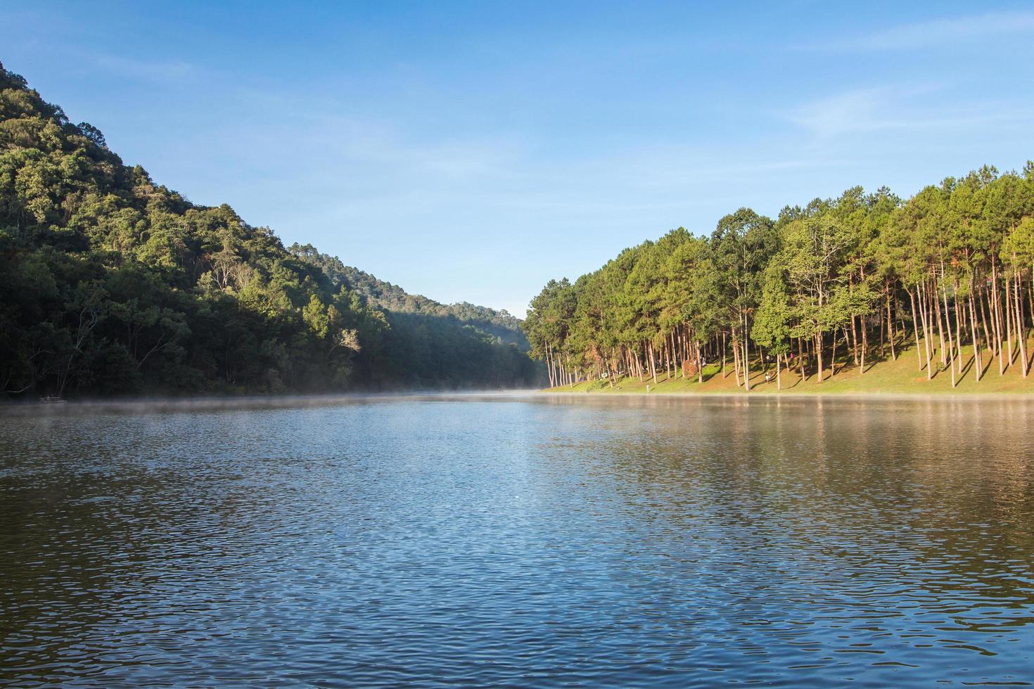 Pang Ung Forestry Plantations in winter ,Maehongson, North of Thailand photo