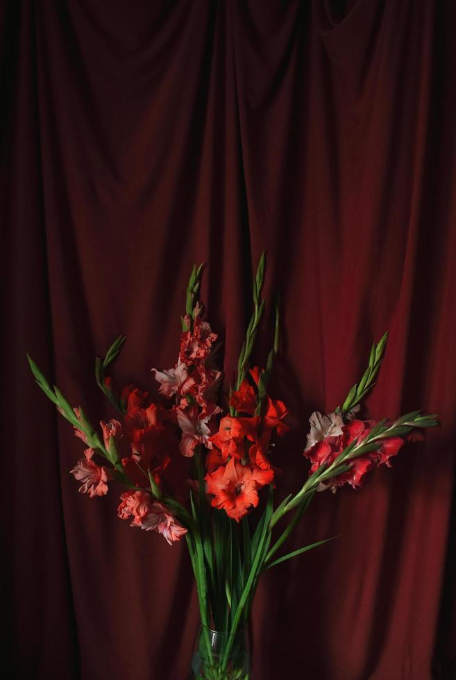 flores en rojo fondo foto