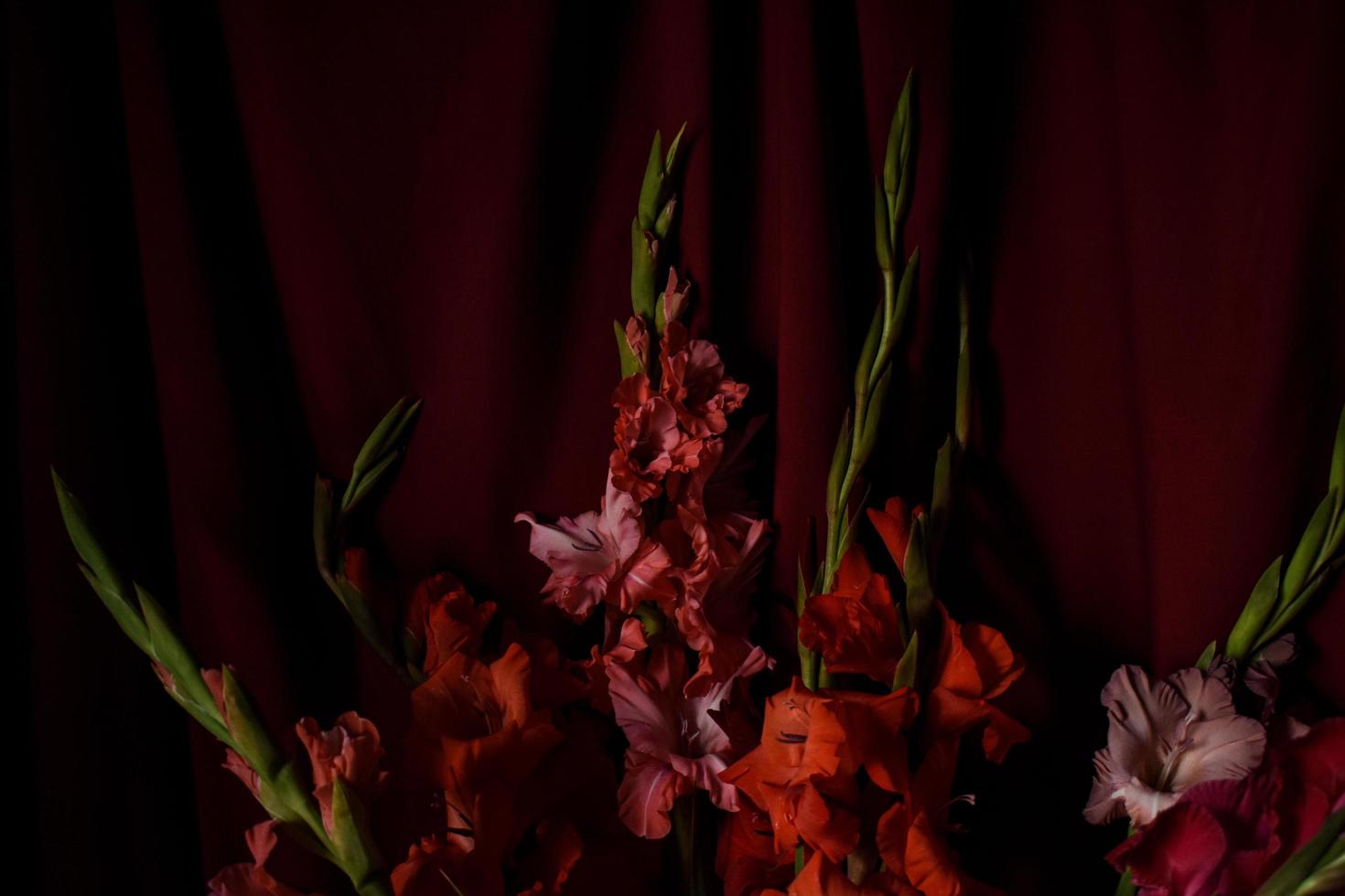 flores en rojo antecedentes foto