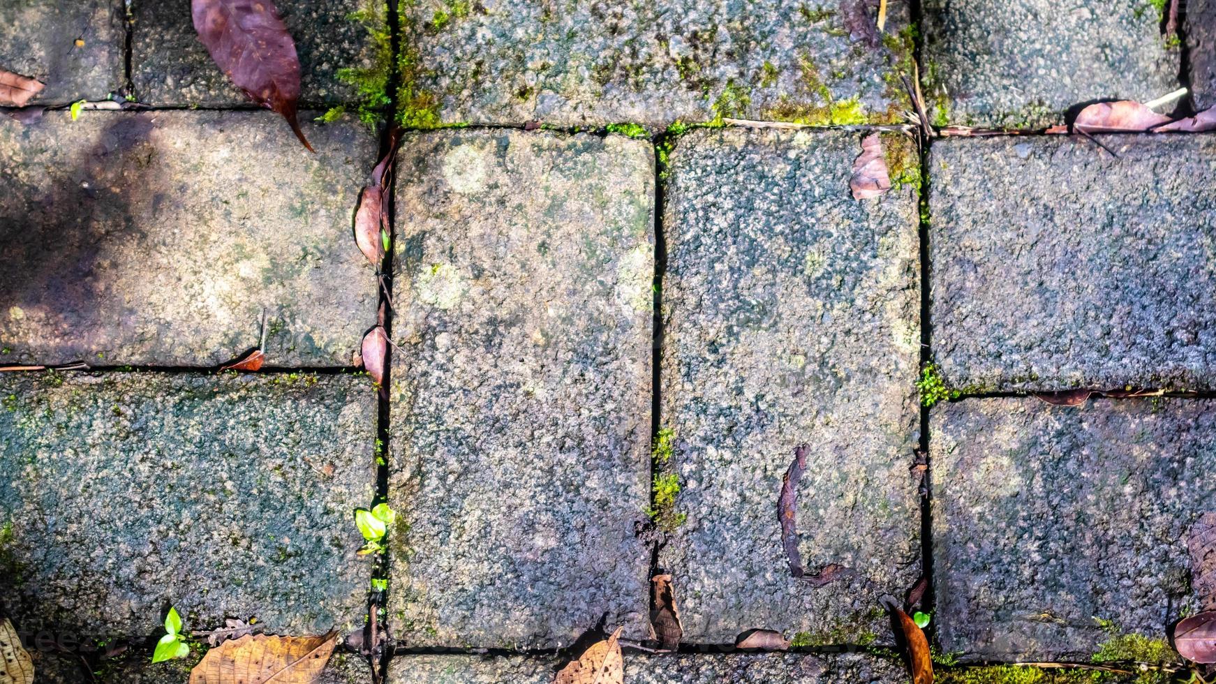 paving block with autumn leaves as background 19927987 Stock Photo at