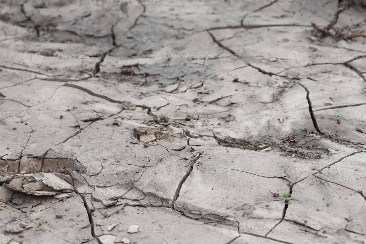 The ground has cracks in the top view for background photo