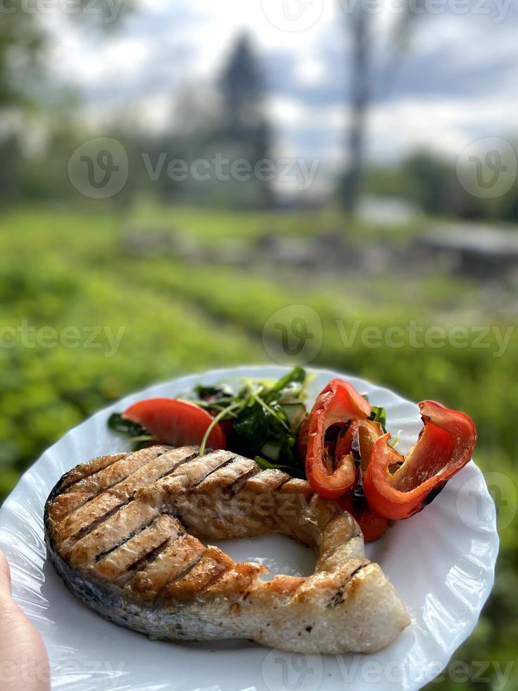 Dish of red Fish with vegetables. Grilled Salmon. Barbecue in nature. photo