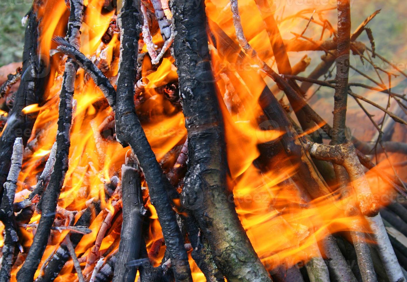 Burning wood in fire, close-up natural background photo