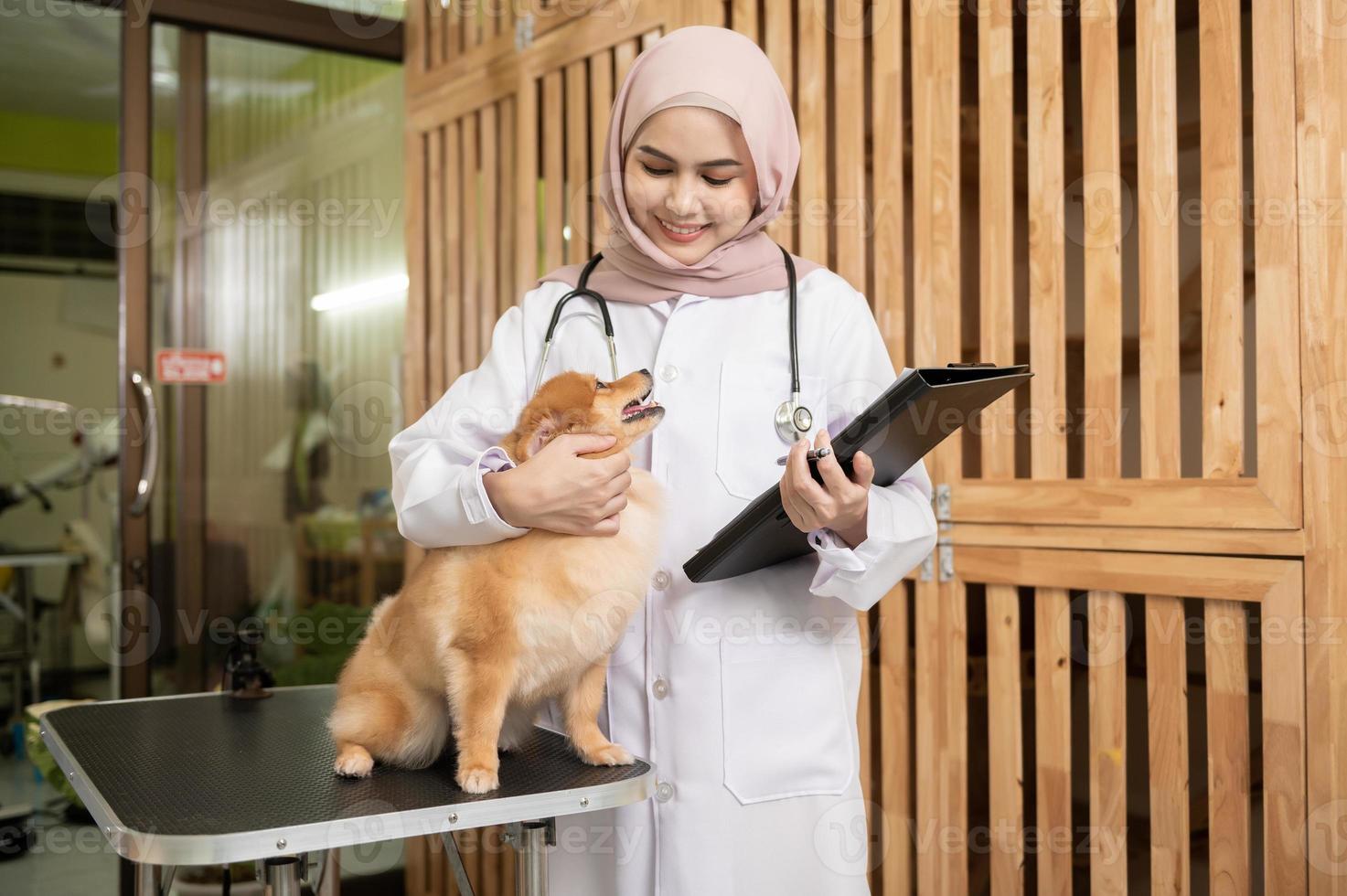 joven hembra musulmán veterinario con estetoscopio examinando perro en veterinario clínica foto