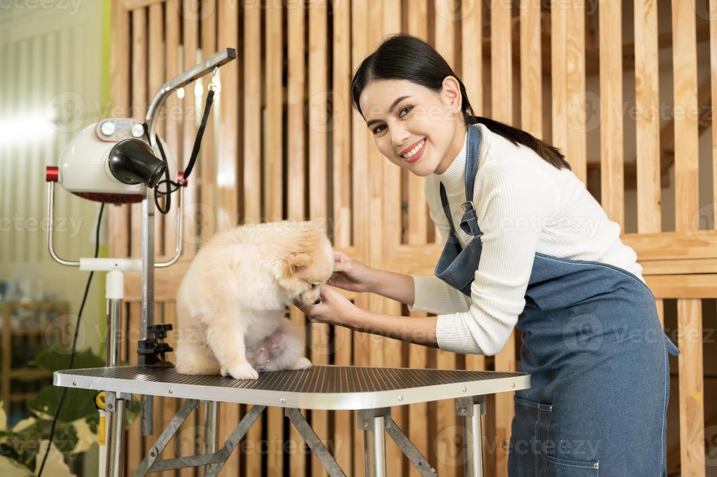 hembra profesional peluquero peinada perro piel a mascota spa aseo salón foto