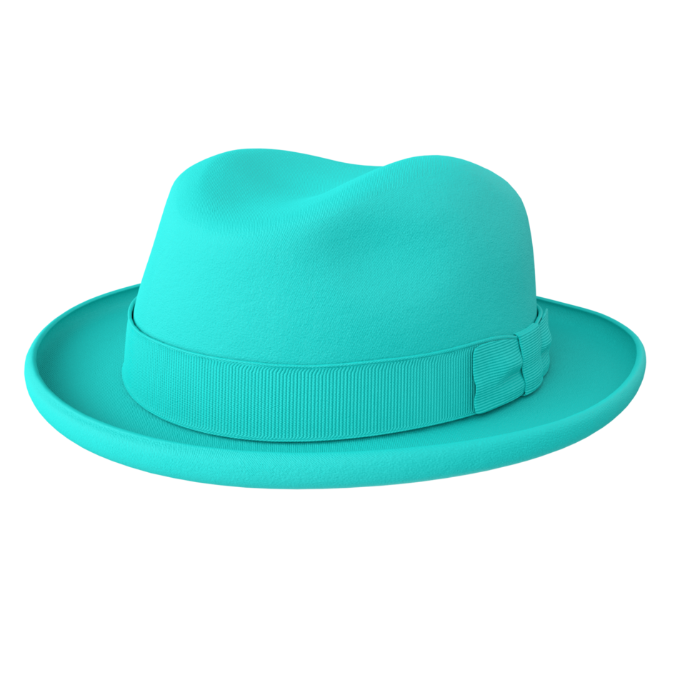 hat isolated on transparent background png