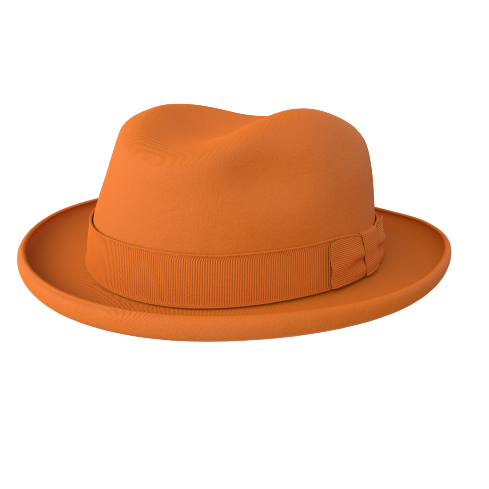 sombrero aislado en transparente antecedentes png