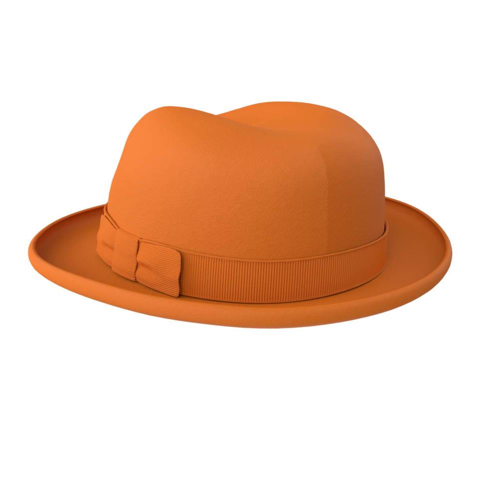 chapéu isolado em transparente fundo png
