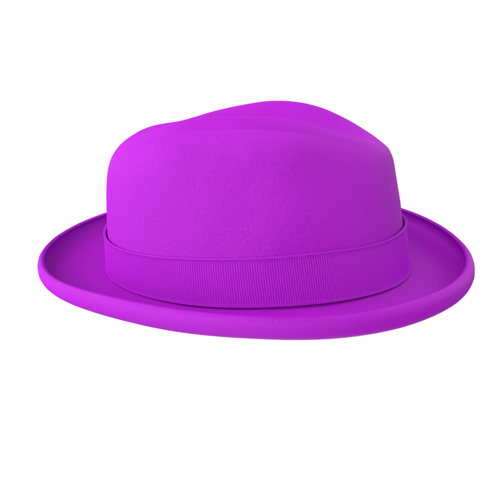 hatt isolerat på transparent bakgrund png