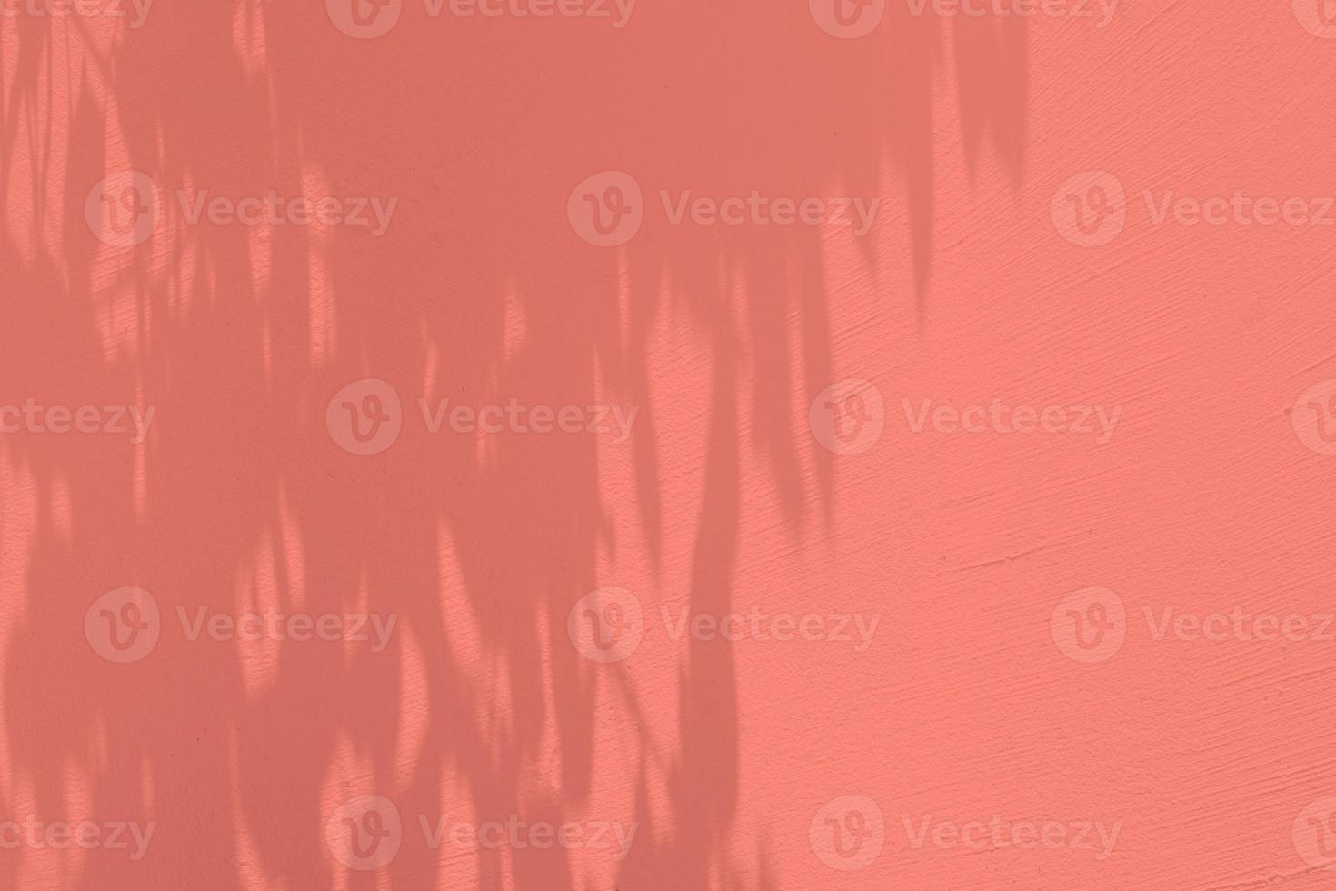 Stucco Wall with Leaves Shadow on Surface in Burnt Coral Tone, Suitable for Product Presentation Backdrop, Display, and Mock up. photo