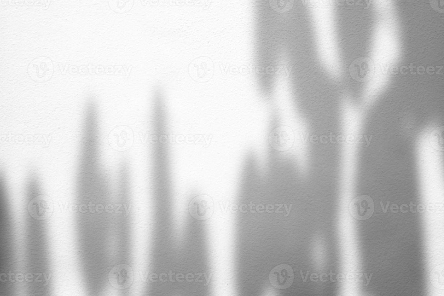 Leaves Shadow on White Stucco Wall Background. photo