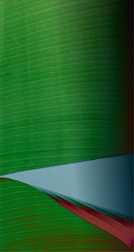 Fibrous background with gradient colors photo