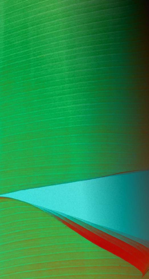 Fibrous background with gradient colors photo